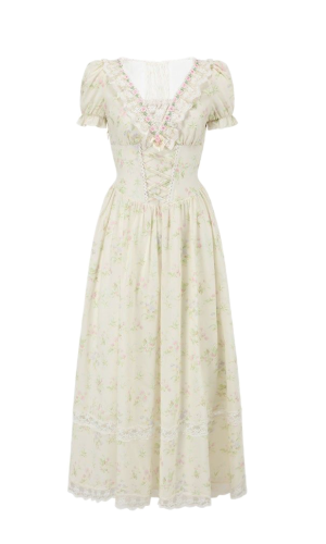 Garden Tea Party Corset Dress copy